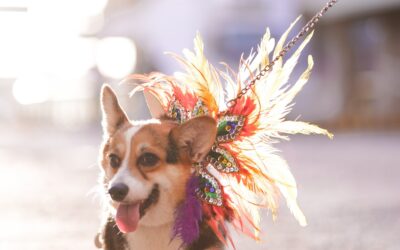 Dinagyang Pet Parade 2026